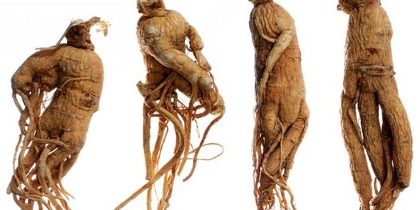Ginseng Root pour augmenter le pénis